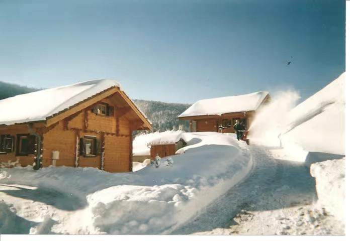 Le "Chalet De Minette" 2 Etoiles La Bresse Zewnętrze zdjęcie