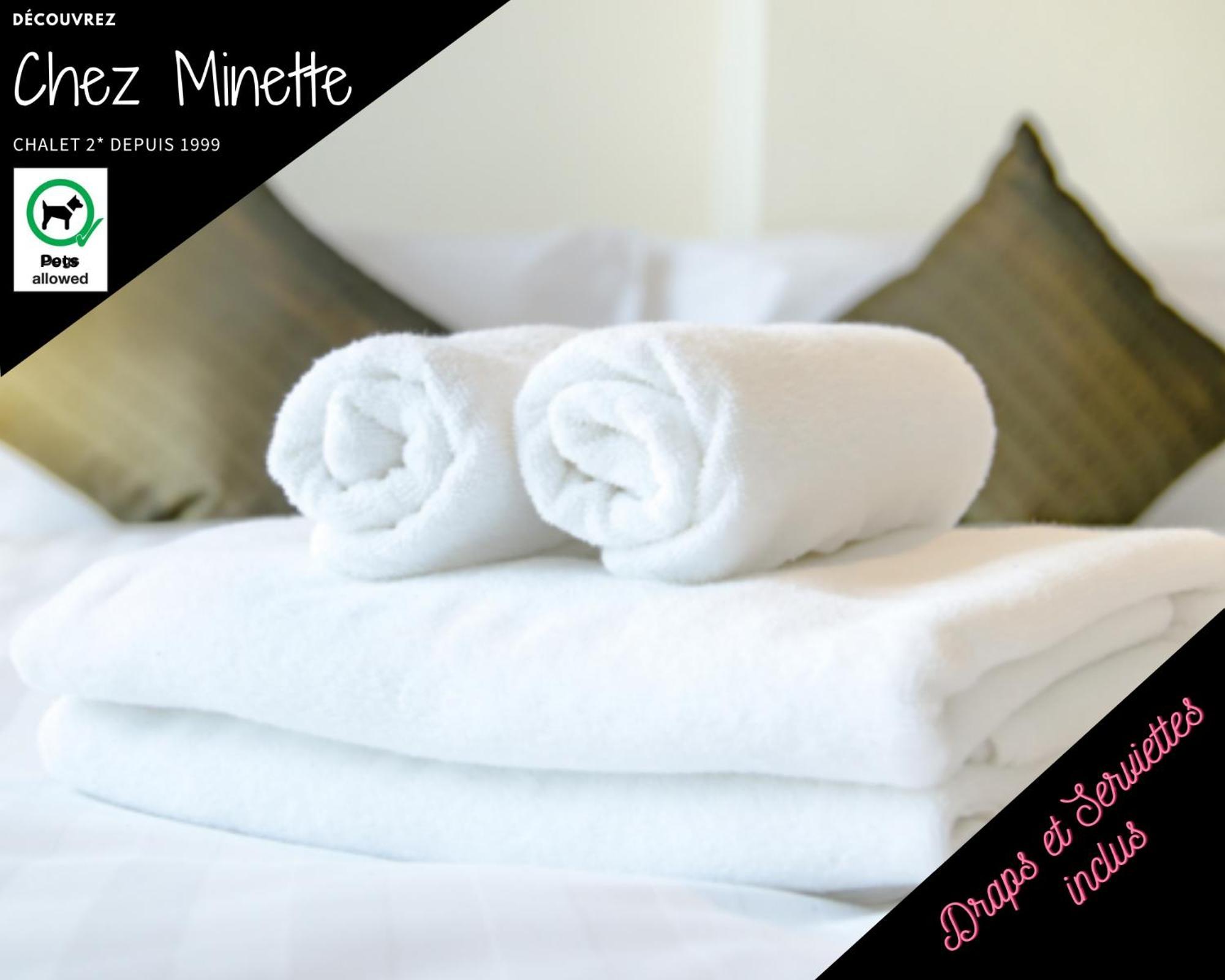 Le "Chalet De Minette" 2 Etoiles La Bresse Zewnętrze zdjęcie