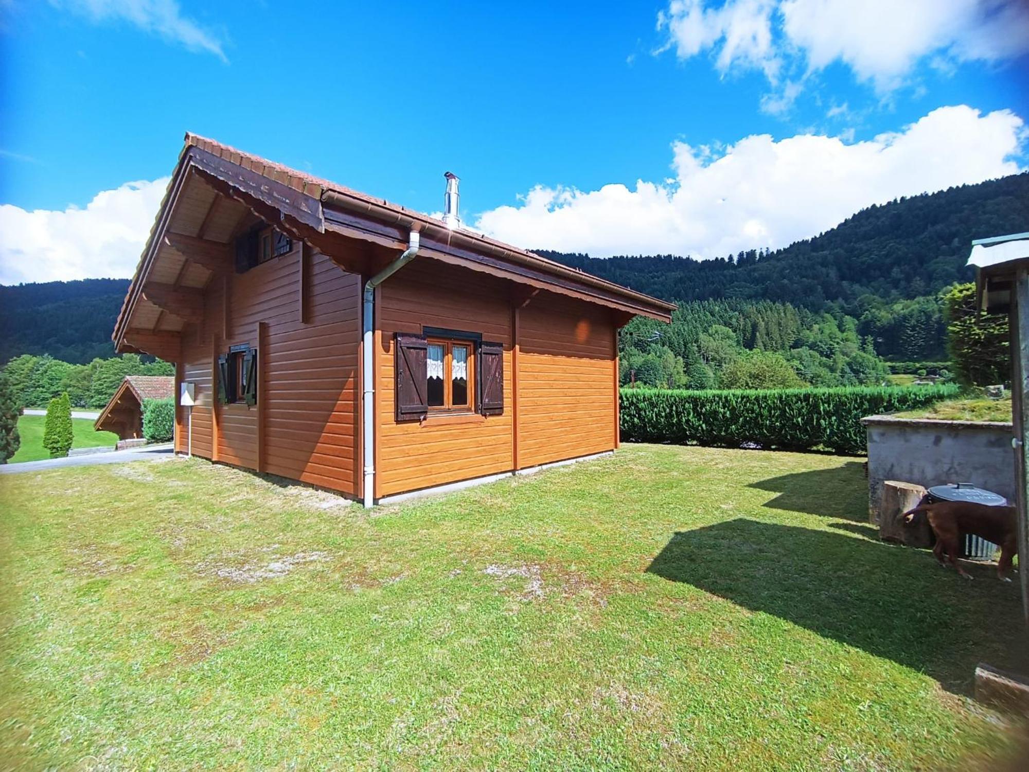Le "Chalet De Minette" 2 Etoiles La Bresse Zewnętrze zdjęcie